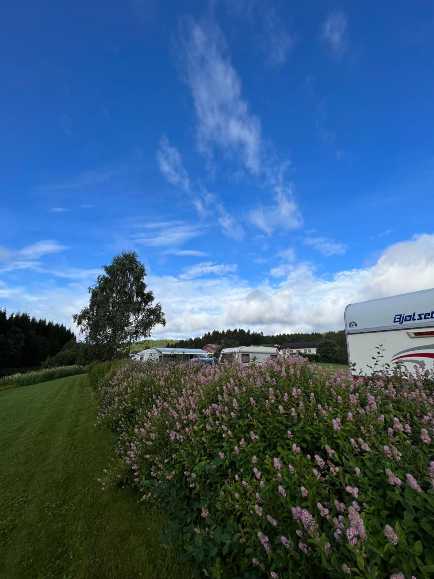 Gullvag Camping Nyberg Soknedal ภายนอก รูปภาพ