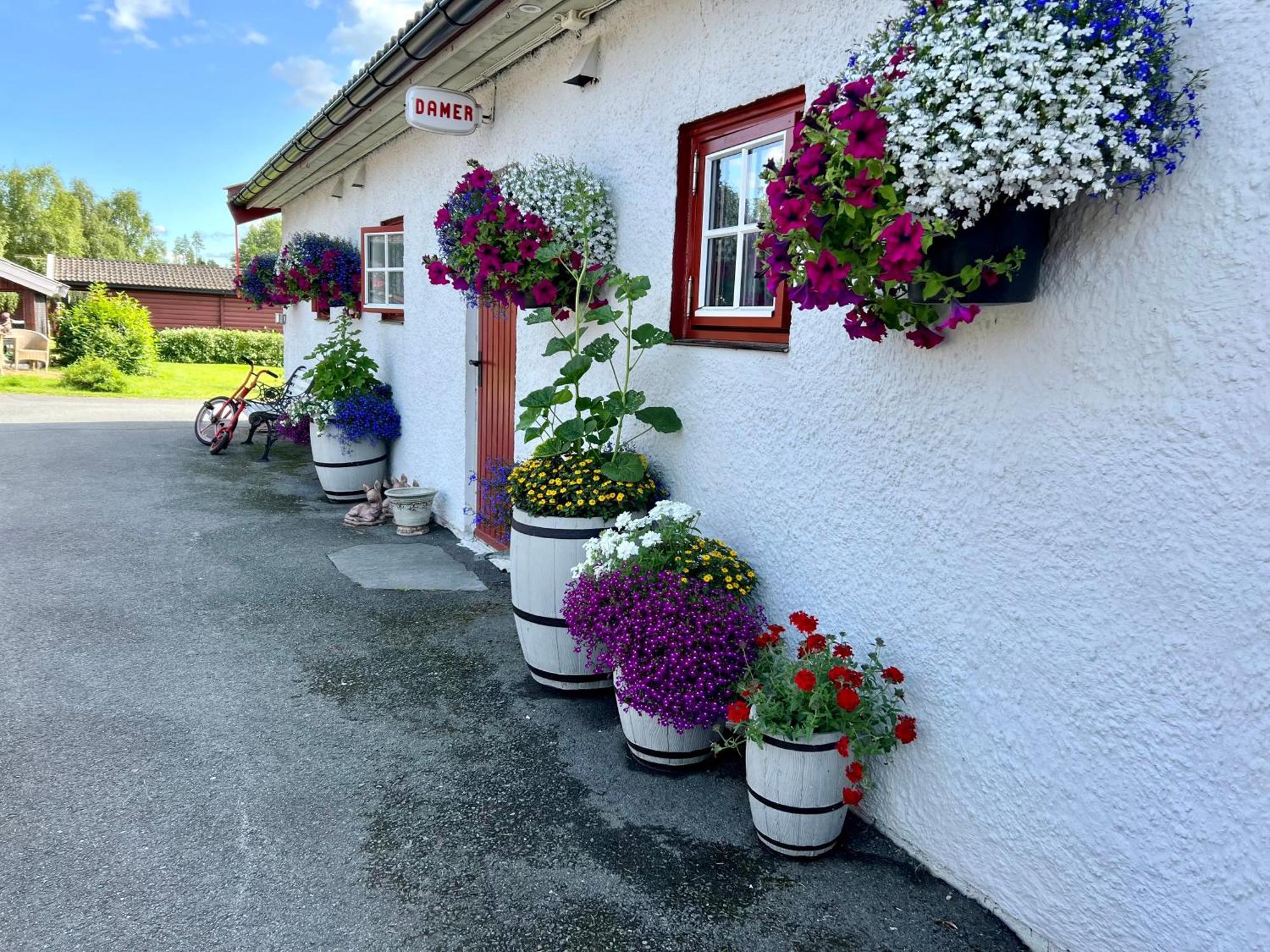 Gullvag Camping Nyberg Soknedal ภายนอก รูปภาพ