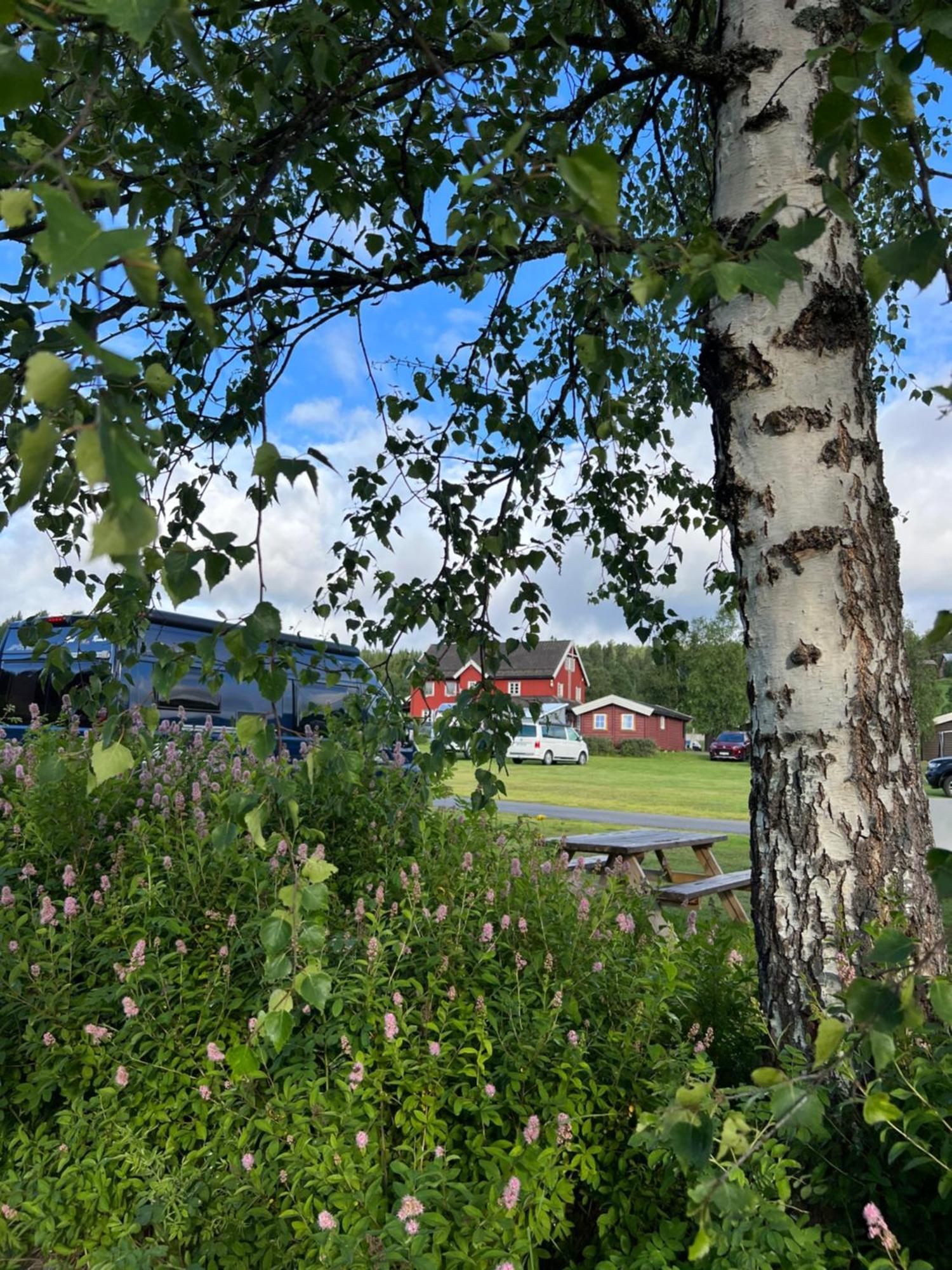 Gullvag Camping Nyberg Soknedal ภายนอก รูปภาพ